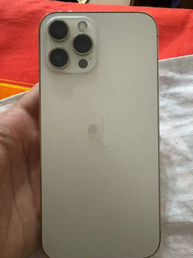 ایفون ۱۲پرومکس|موبایل|شیراز, حومه شیراز|دیوار