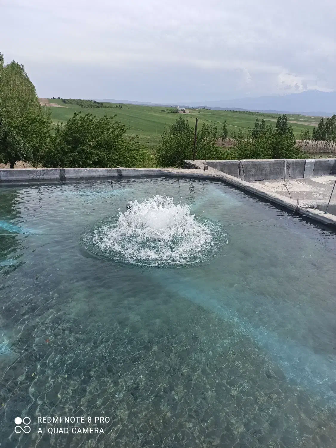 فروش باغ سه هکتار اردبیل بخش ارشق روستای دره بیگلو|فروش خانه و ویلا|ارشق, |دیوار