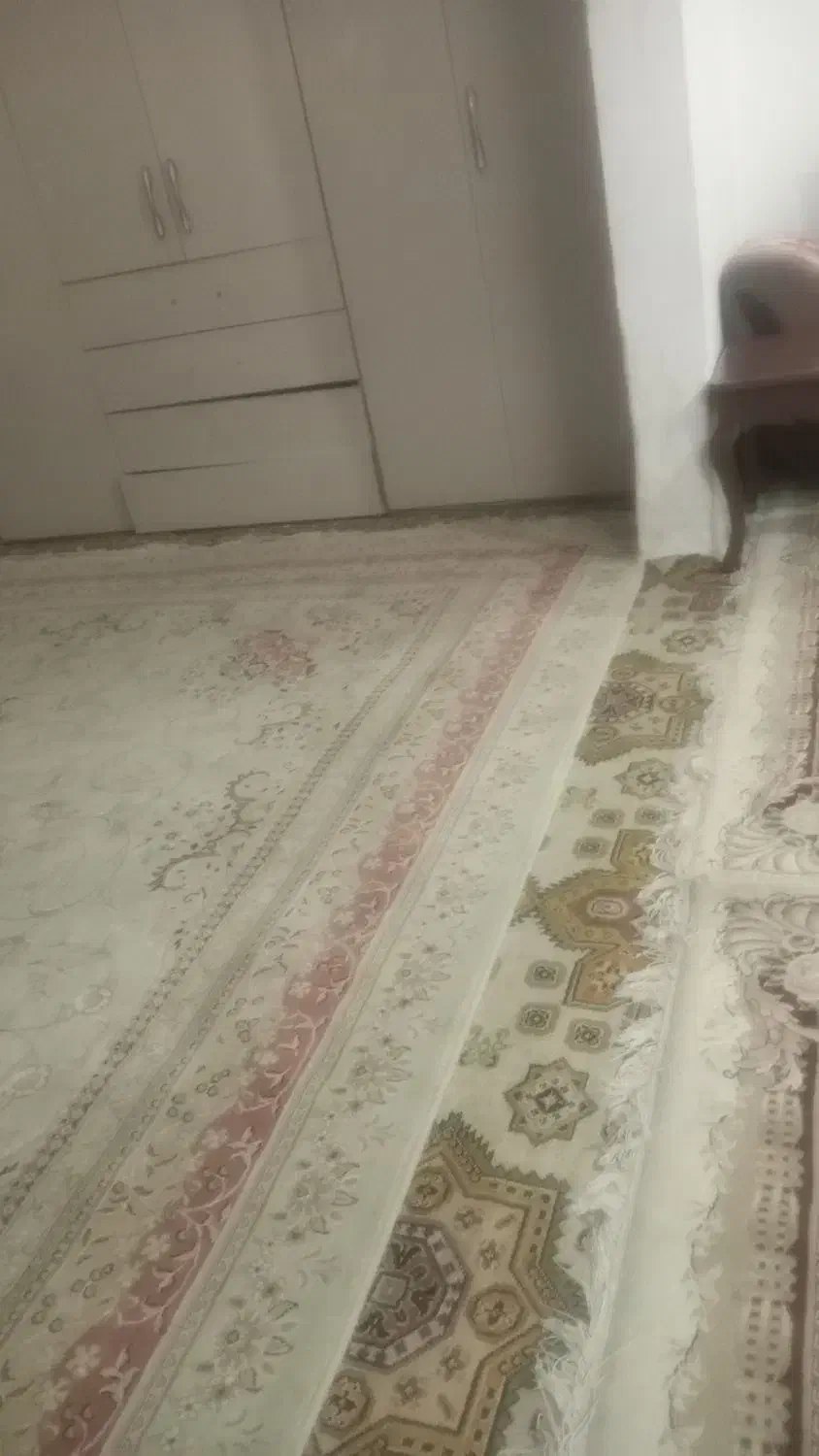 فرش رنگ کرمی|فرش|سبزوار, مدرس|دیوار