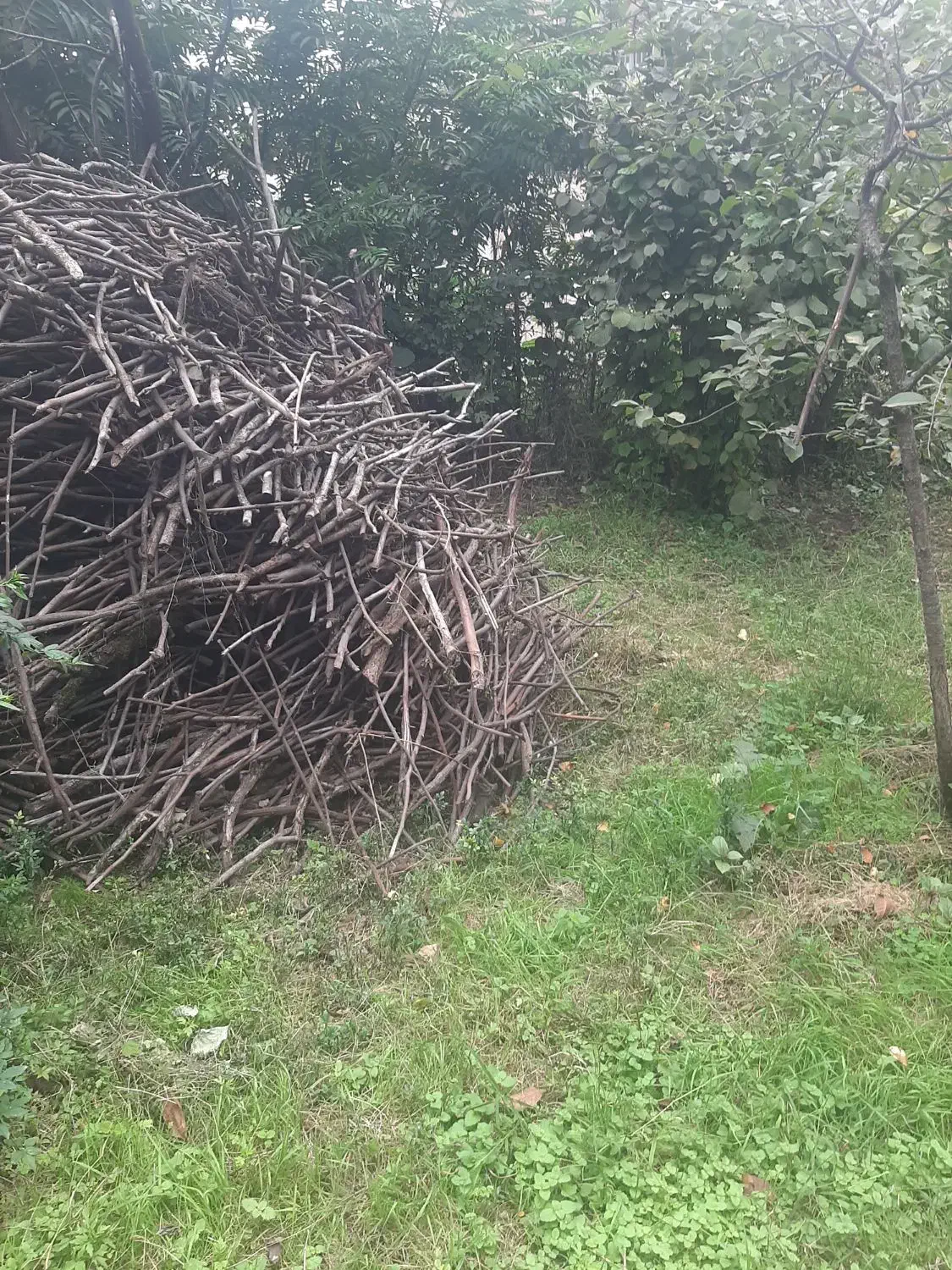 هیزم خشک برای بخاری و شومینه دو نیسان|بخاری، هیتر، شومینه|تالش, جوکندان|دیوار