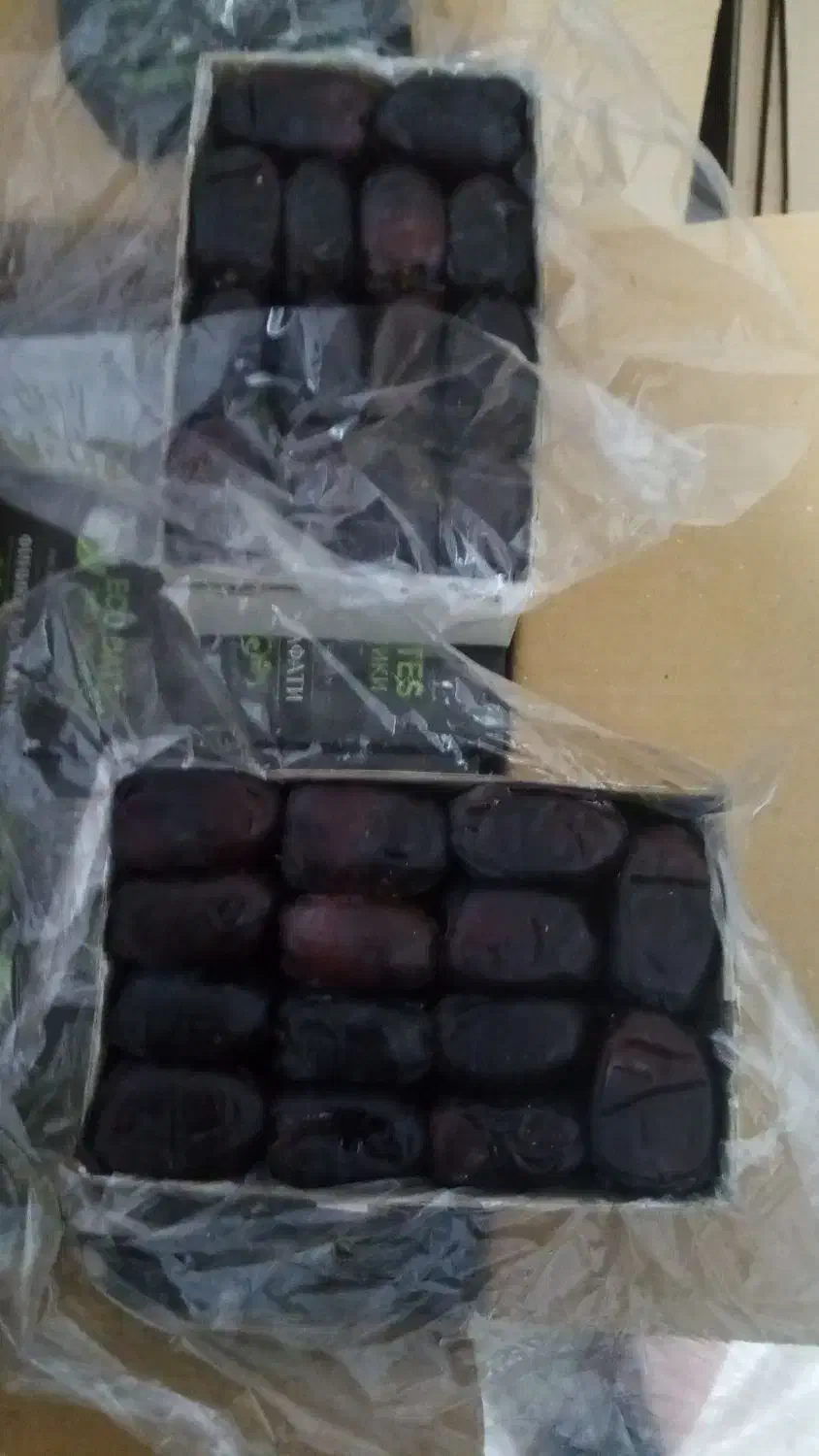 فروش خرمای درجه 1و2|حراج|بم, |دیوار