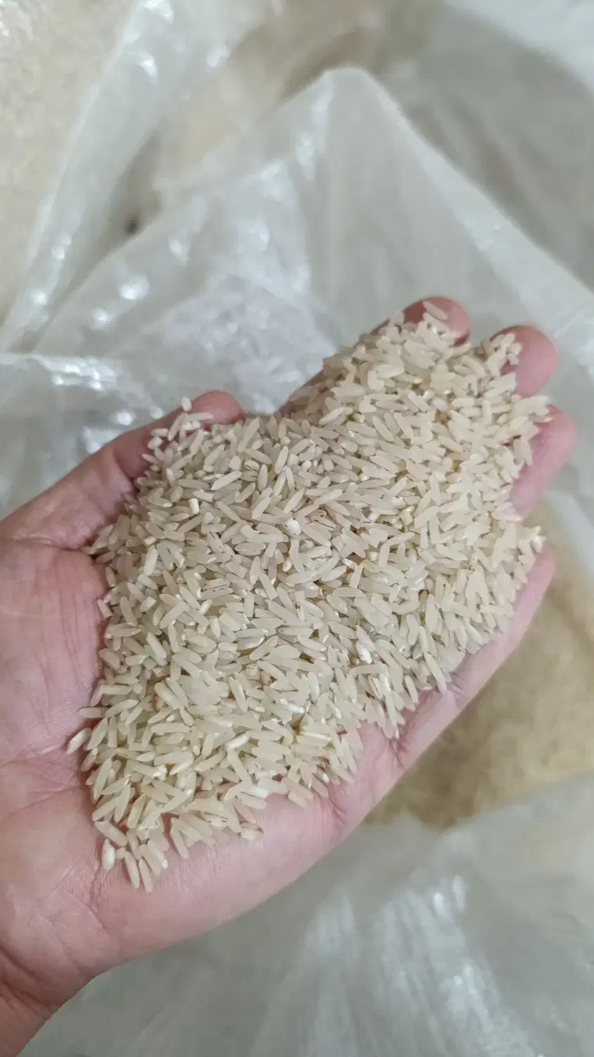 فروش برنج طارم فجر|خوردنی و آشامیدنی|دره شهر, |دیوار