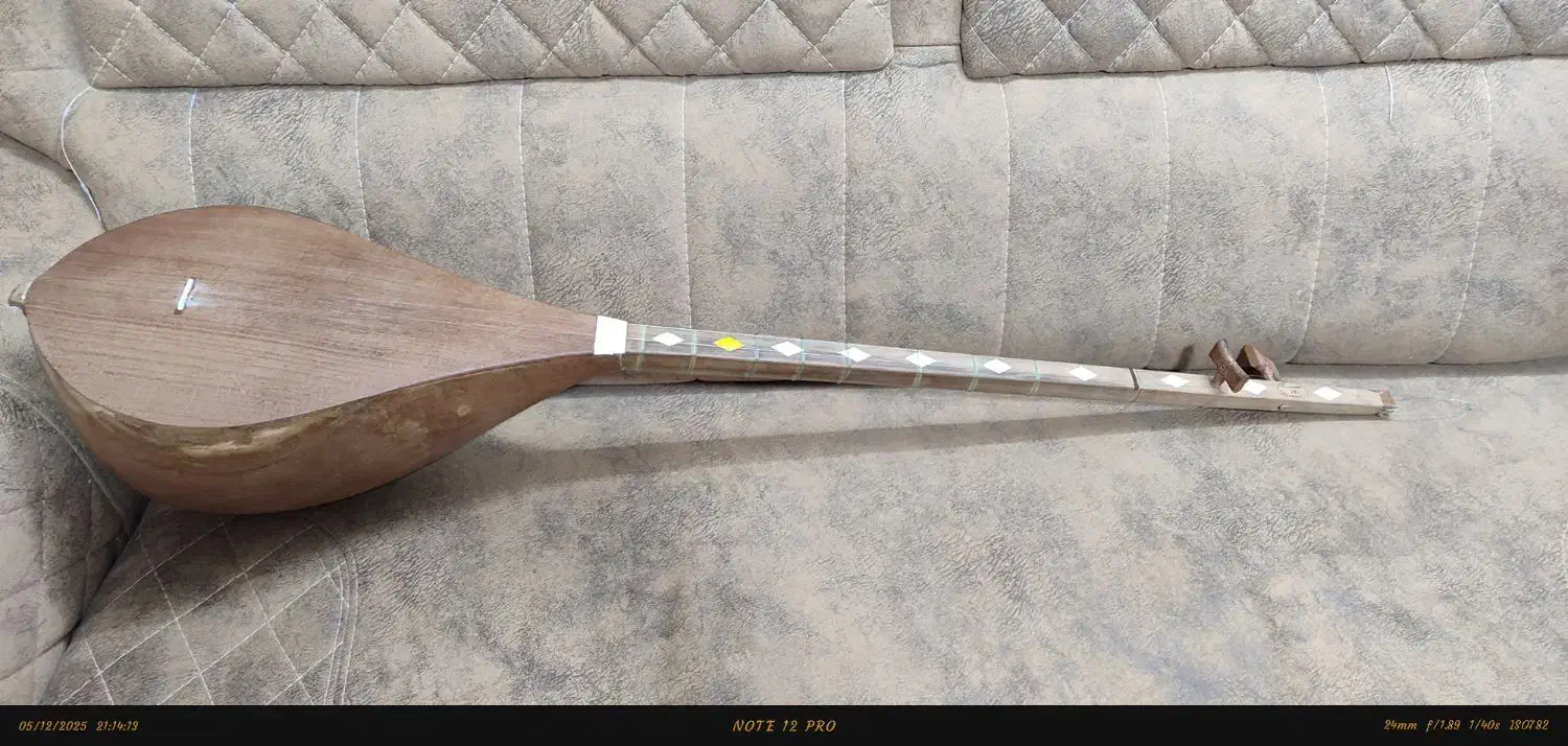 دوتار|سازهای سنتی|قائن, |دیوار