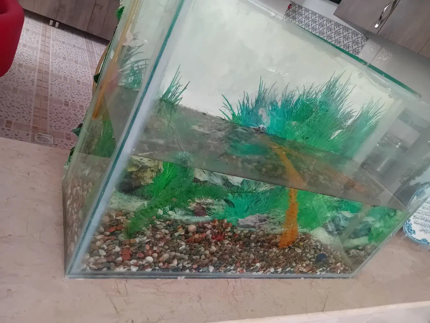 آکواریوم دست سازقیمت ۱میلیون|ماهی|آباده, |دیوار