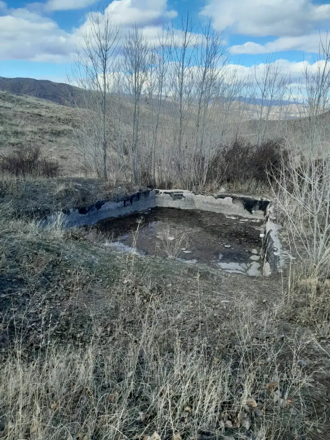 زمین کشاورزی|فروش دفتر صنعتی، کشاورزی، تجاری|خلخال, |دیوار