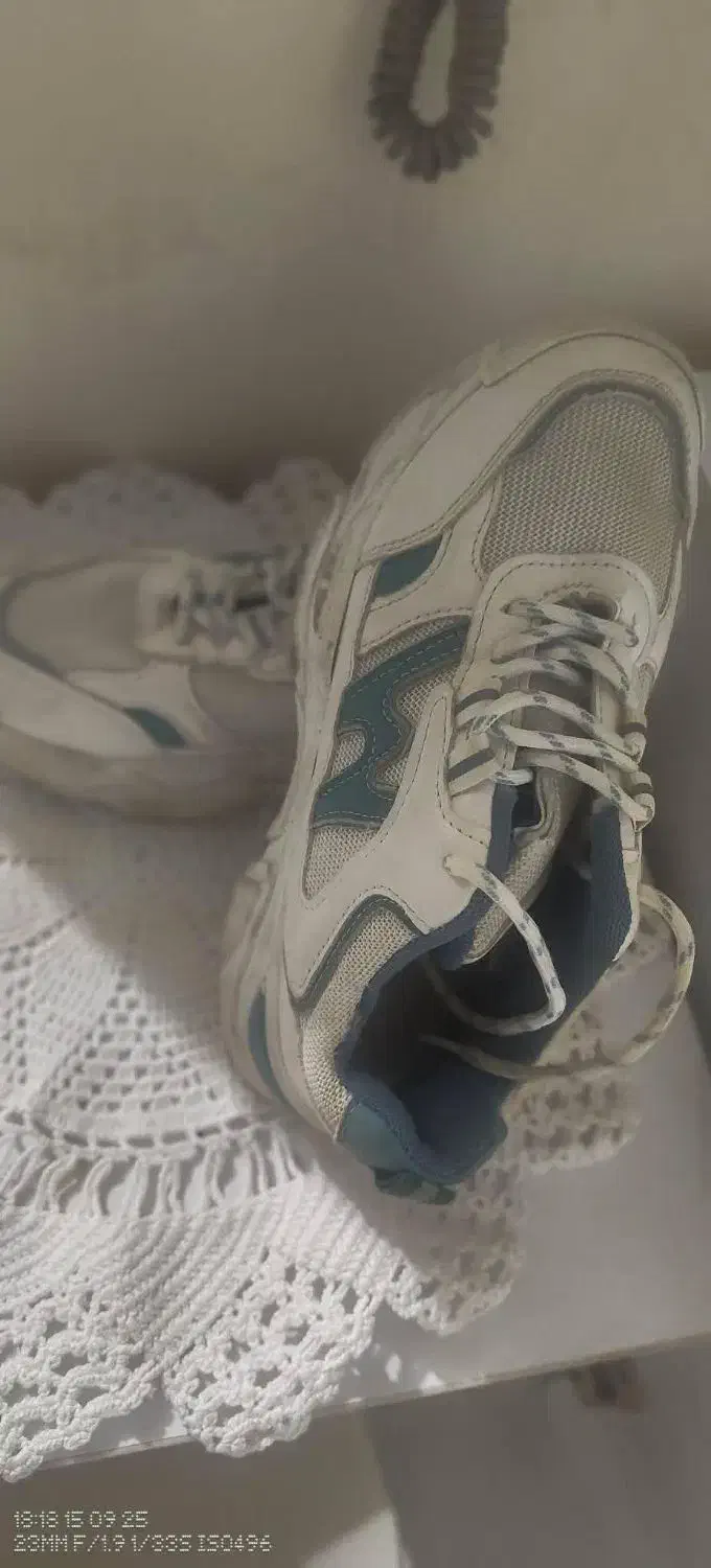 کفش کتونی زنانه|کیف، کفش، کمربند|گنبد کاووس, |دیوار