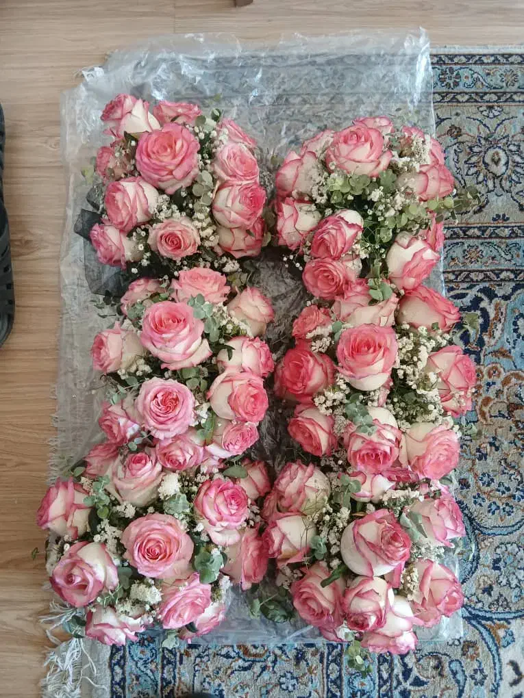 فروش گل رز لب ماتیکی|گل و گیاه طبیعی|پردیس, فاز ۲|دیوار