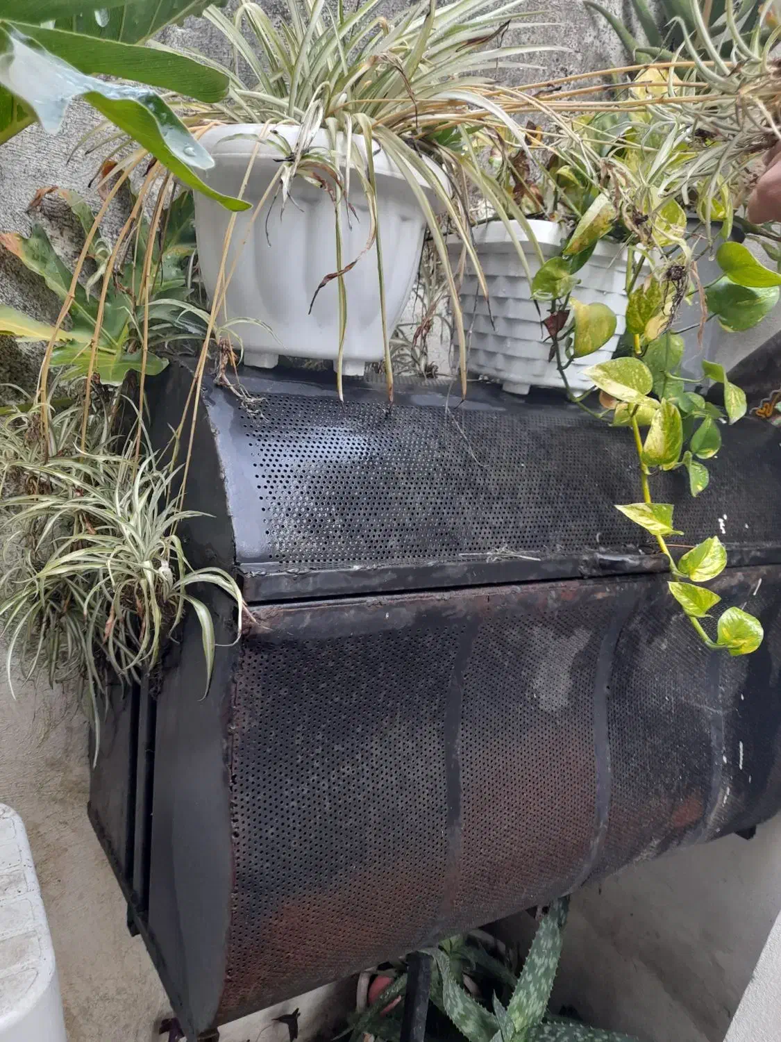 سطل یا سبد زباله|لوازم نظافت|آمل, |دیوار