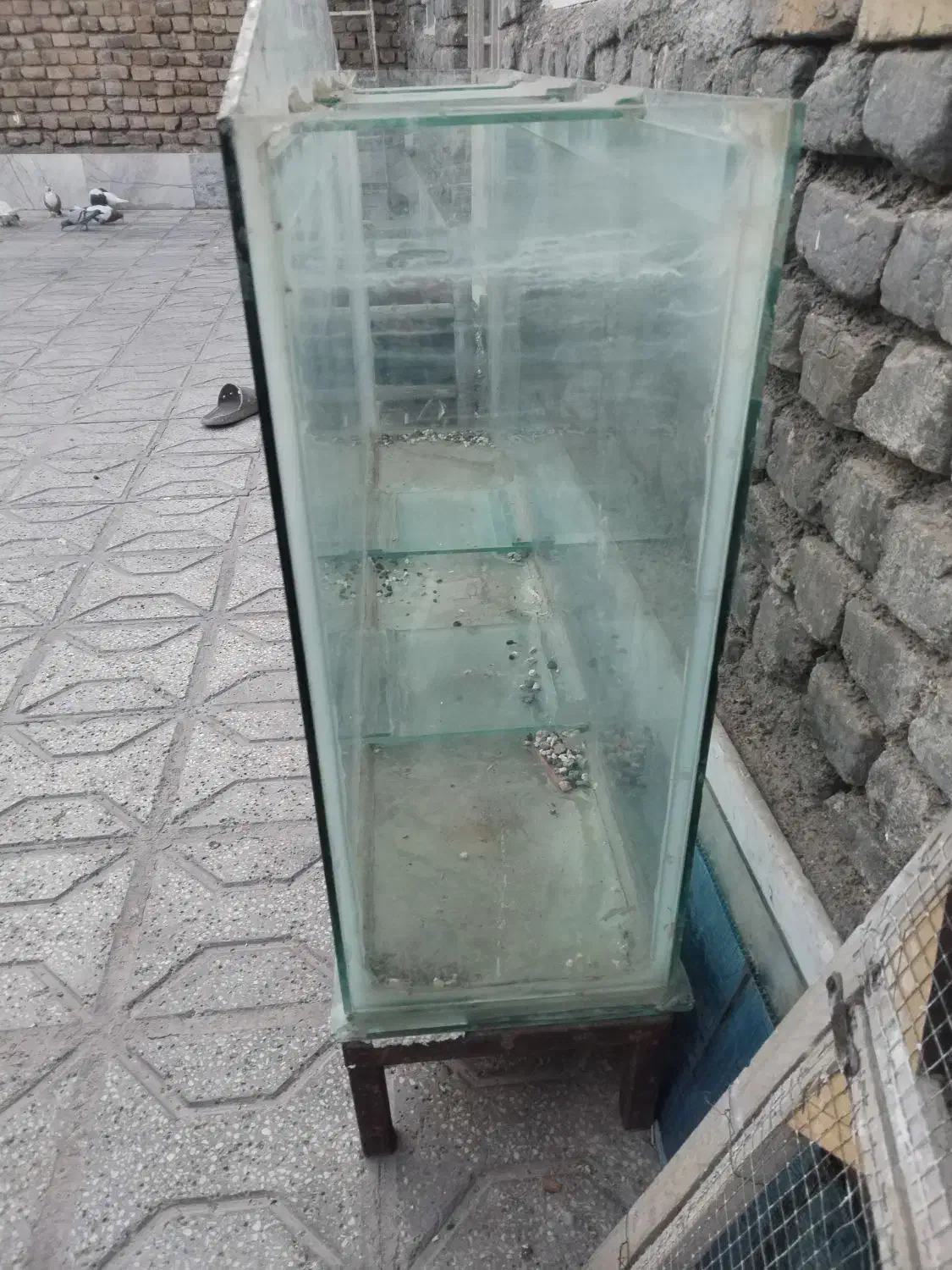 آکواریوم تاج دار و بخاری اکواریوم|ماهی|تربتحیدریه, یحیی آباد|دیوار