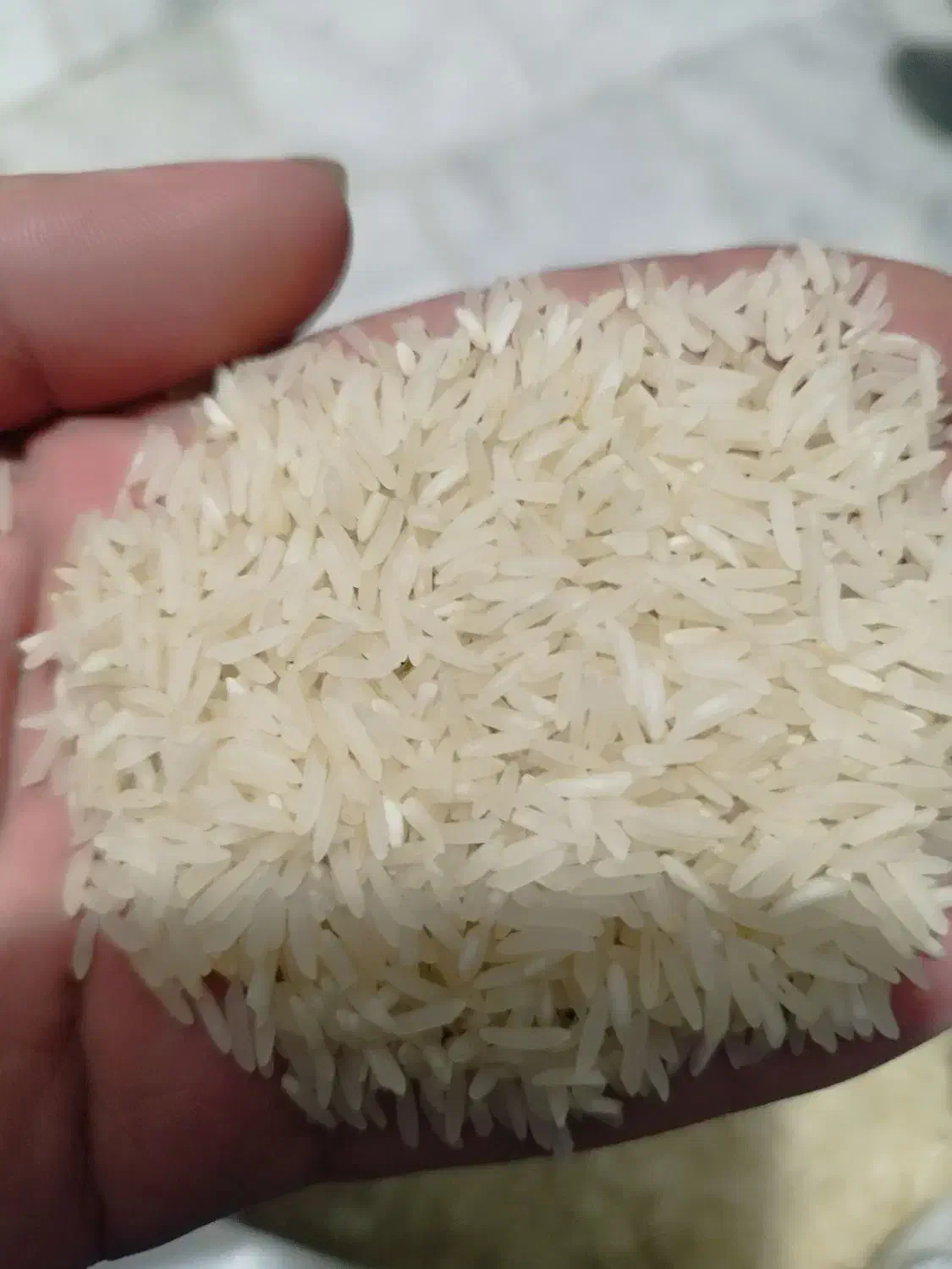 برنج فجر سوزنی درجه یک|خوردنی و آشامیدنی|گلستان (تهران), |دیوار