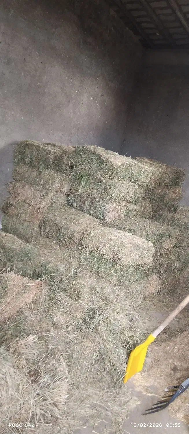 یونجه باغچه|لوازم جانبی حیوانات|محمدیار, |دیوار