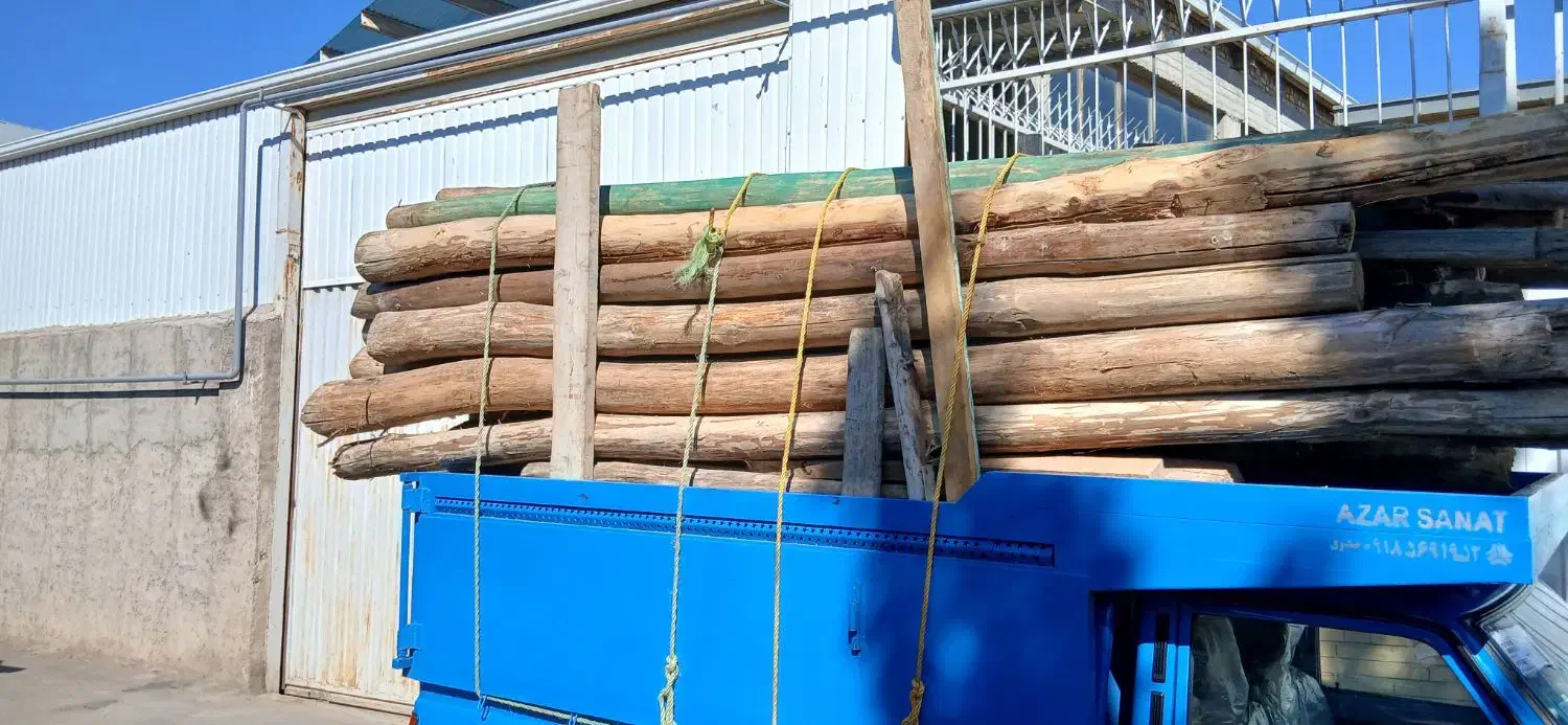 خریدار چوب تر و خشک|خدمات باغبانی و درختکاری|پارسآباد, |دیوار