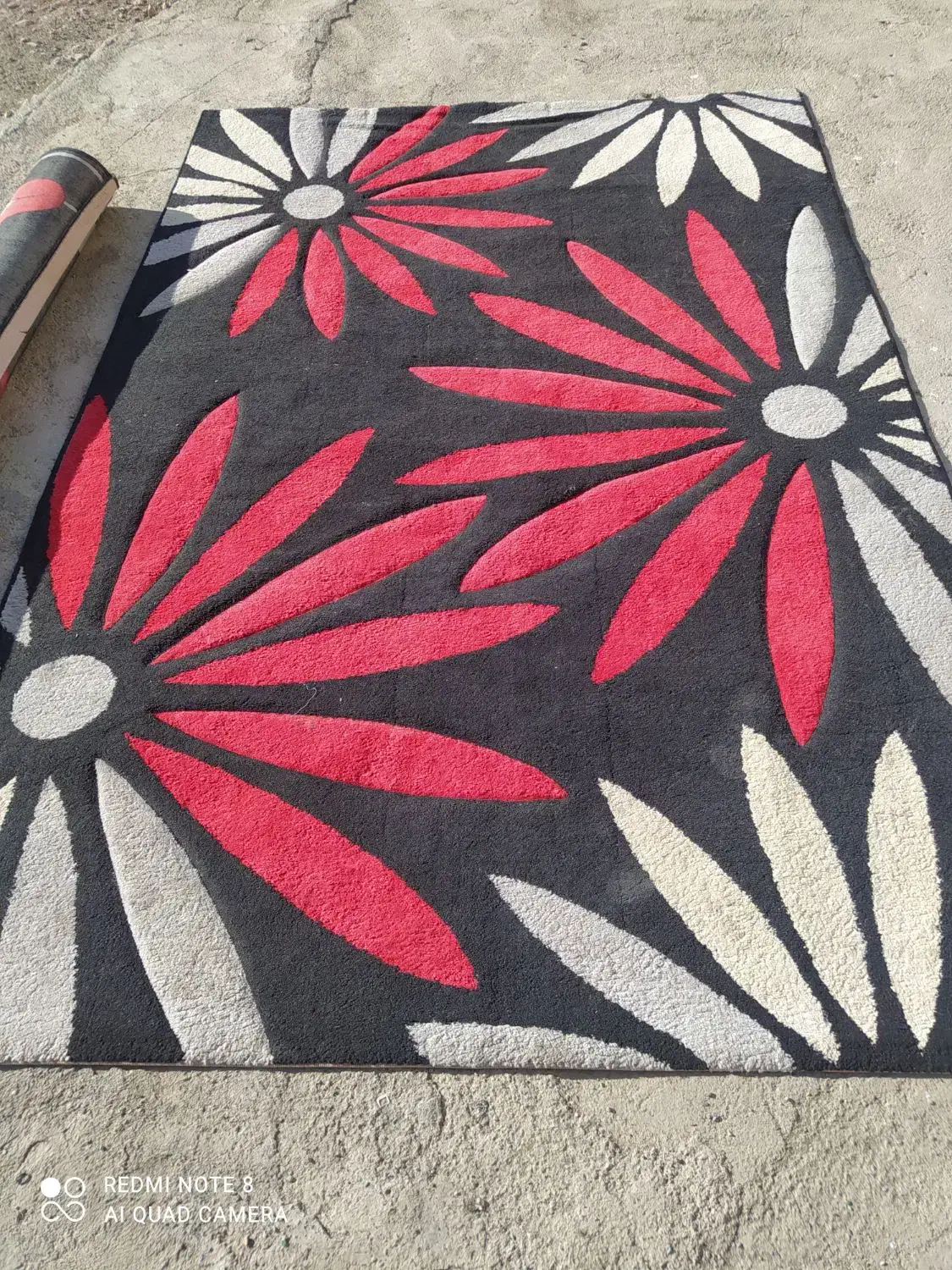 گلیم فرش 6متری|گلیم، جاجیم، گبه|سنندج, |دیوار