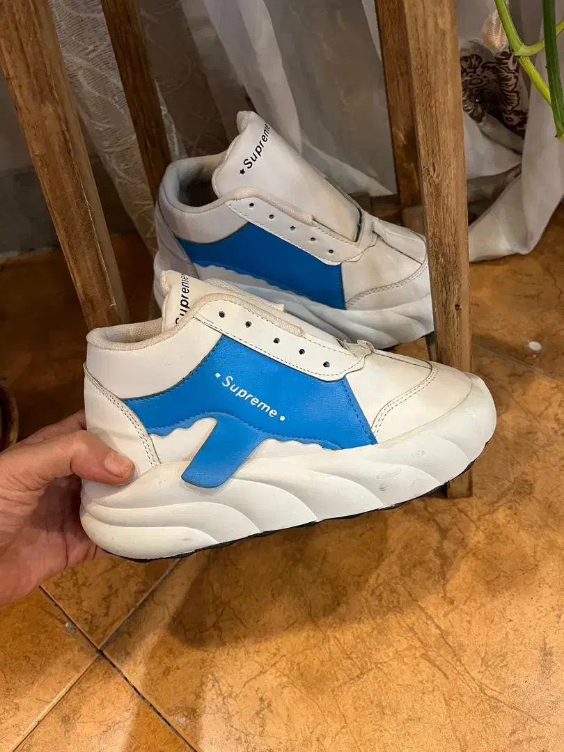 کتونی زنانه و بچگانه زیر قیمت|کیف، کفش، کمربند|اندیشه, اندیشه فاز ۳|دیوار