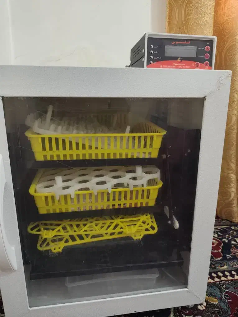 دستگاه جوجه کشی|حیوانات مزرعه|یاسوج, |دیوار