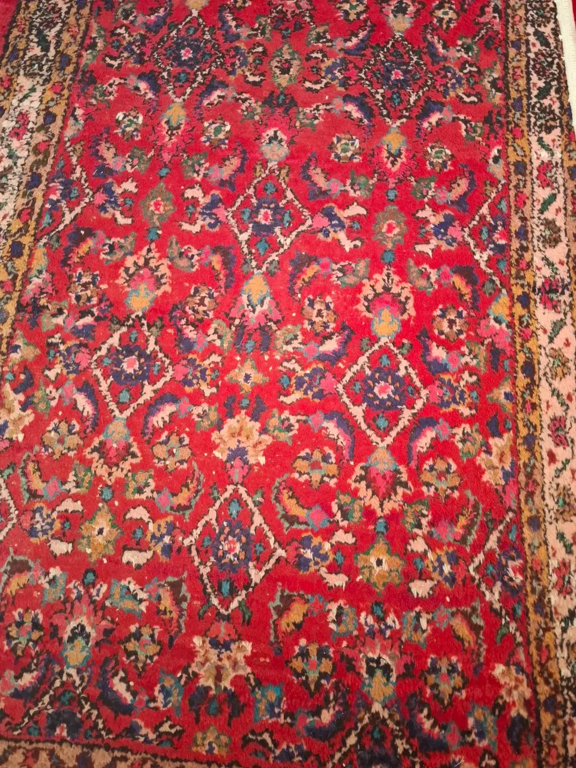 فرش دست بافت شش عدد|فرش|همدان, |دیوار