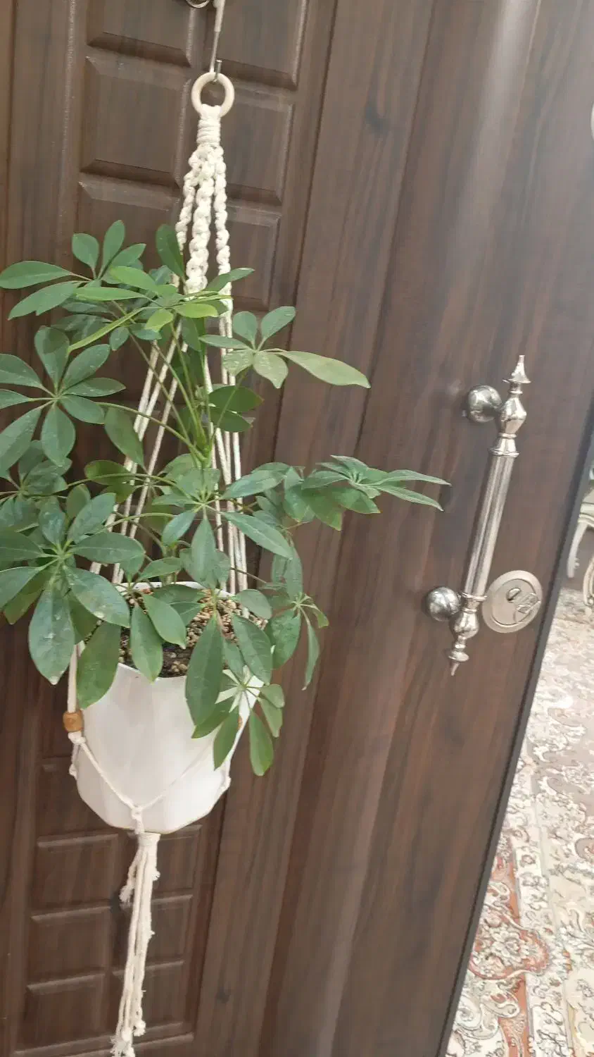 اویز و شلف مکرومه|صنایع دستی و سایر لوازم تزئینی|میانه, |دیوار