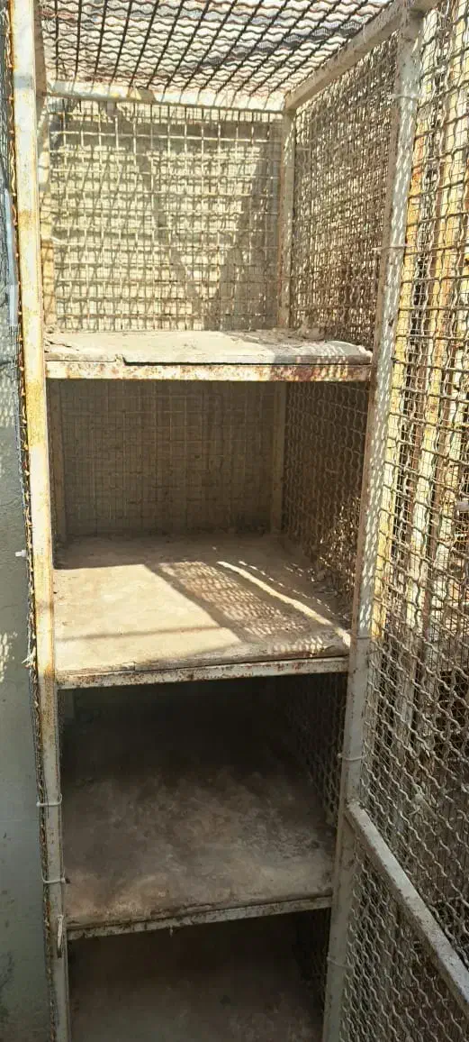 جفتکن کفتر|لوازم جانبی حیوانات|بندرعباس, |دیوار