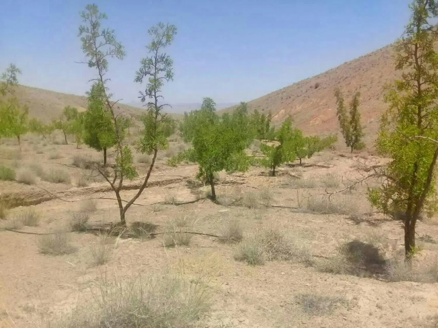 تصویر 20
