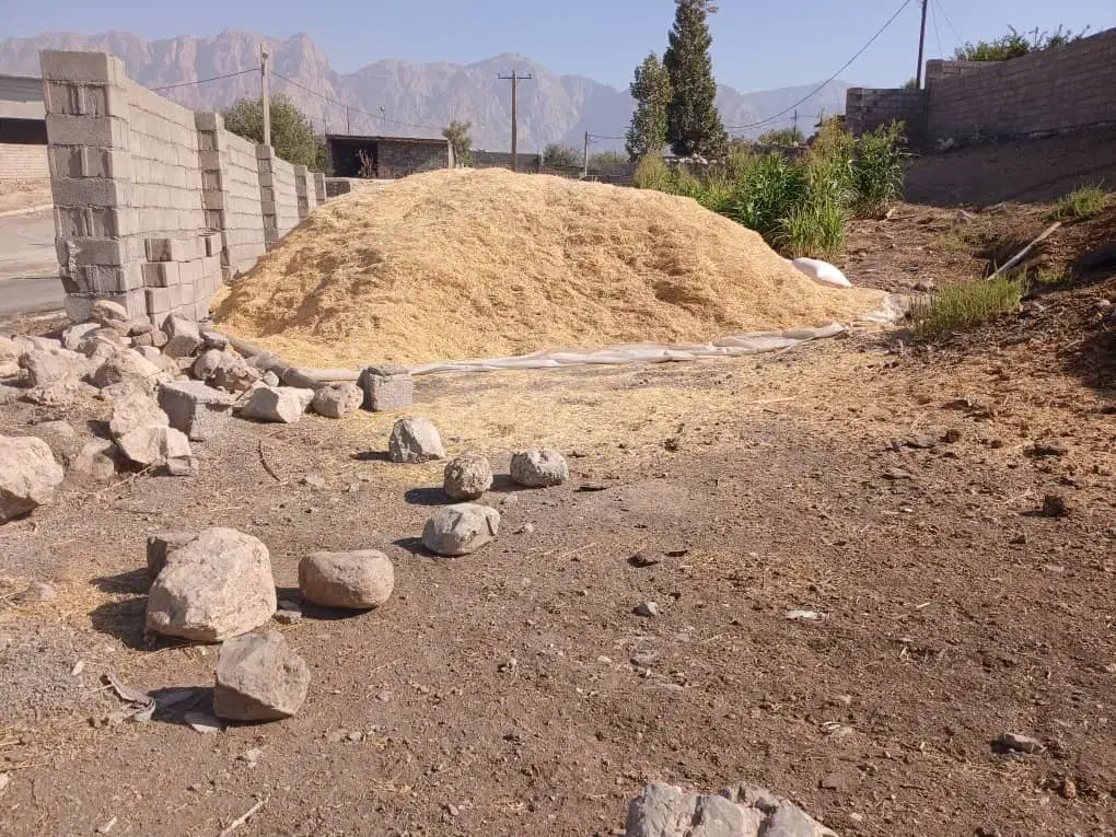 کاه|لوازم جانبی حیوانات|چگنی, |دیوار