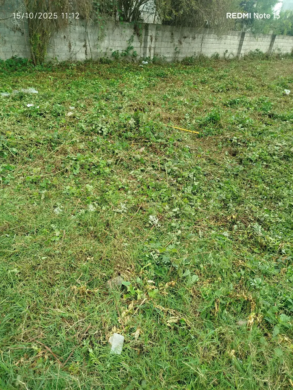 چمنزنی و علفزنی با دستگاه|خدمات باغبانی و درختکاری|لولمان, |دیوار