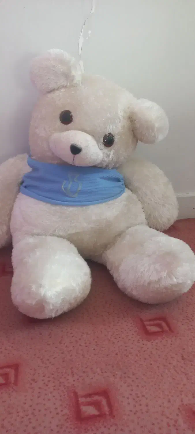 عروسک|اسباببازی|فسا, |دیوار