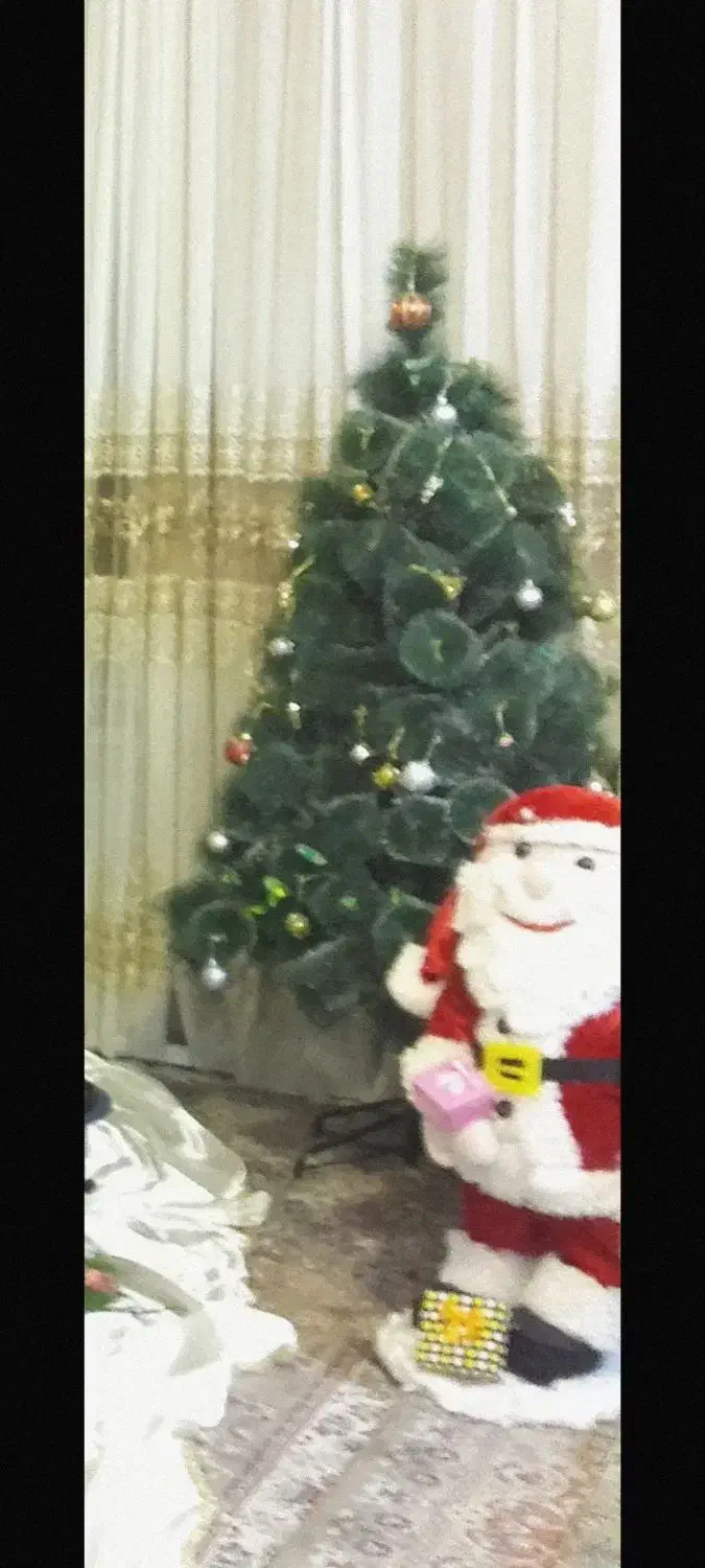 درخت کریسمس و بابانوئل|گل مصنوعی|شاندیز, |دیوار