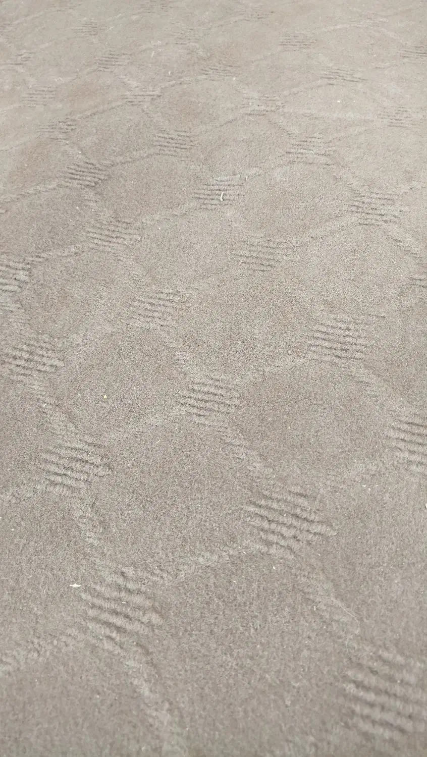 موکت سالم ۵ ملیون حدود ۴۰ متر|موکت|تربتحیدریه, پارک کاشانی|دیوار