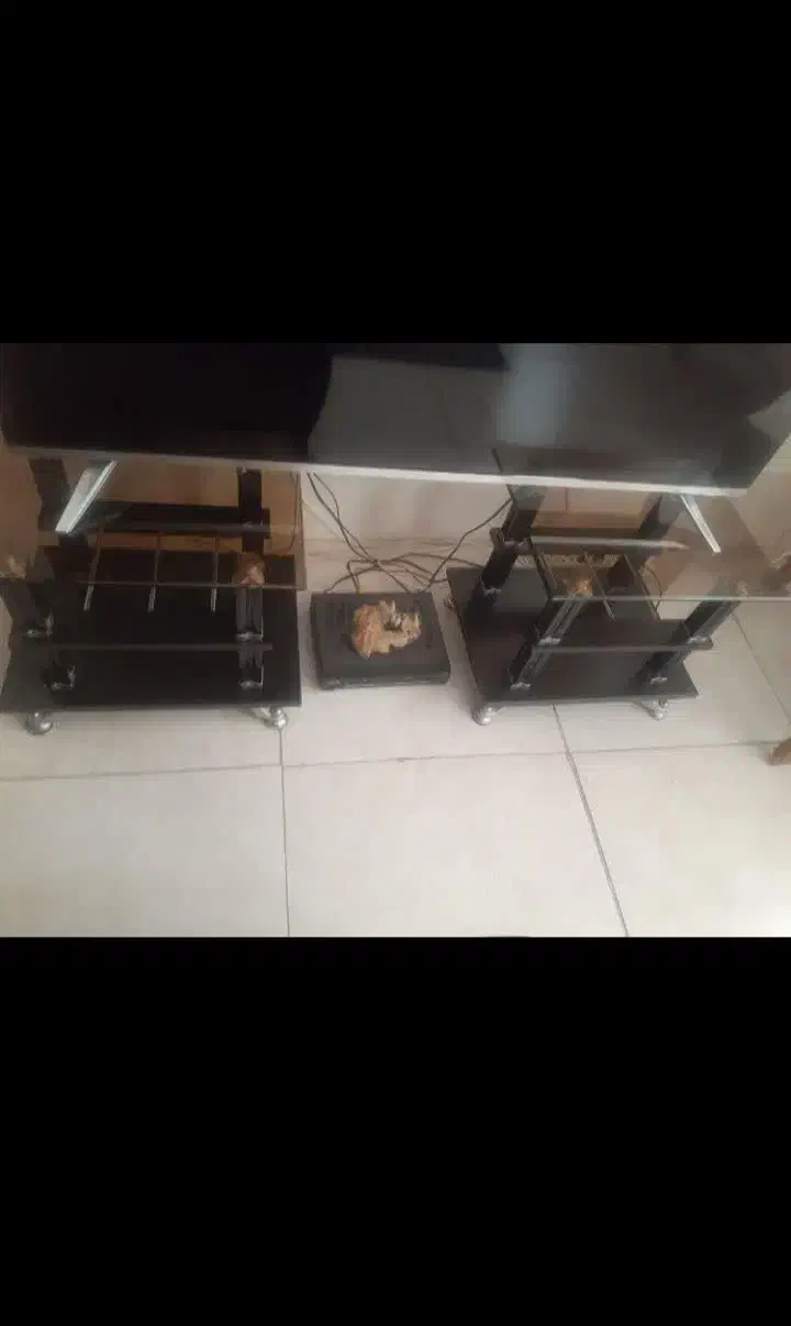 میزوعسلی|حراج|برخوار, |دیوار