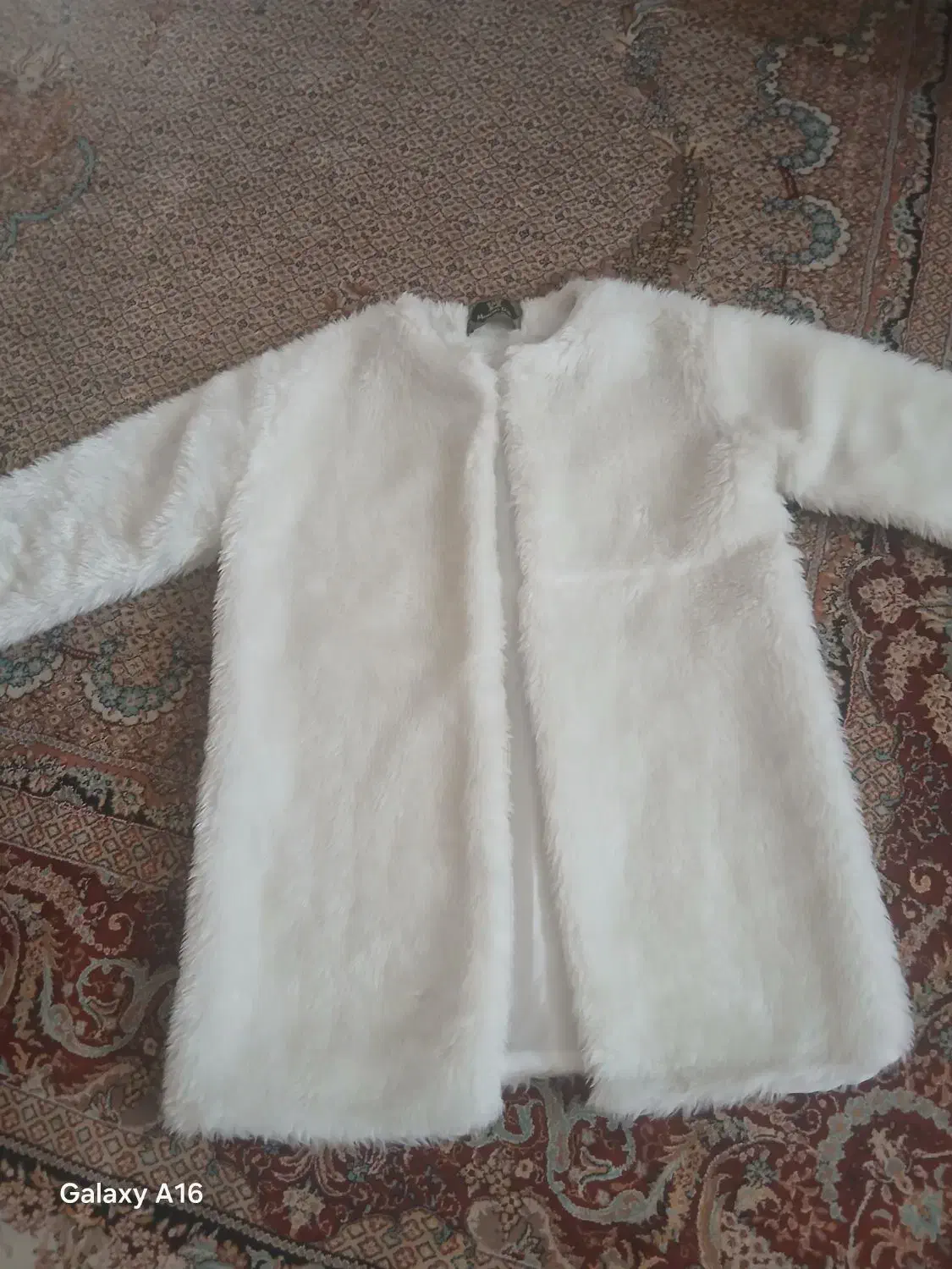 پالتو خز استر دار|لباس|شیروان (خراسان), |دیوار