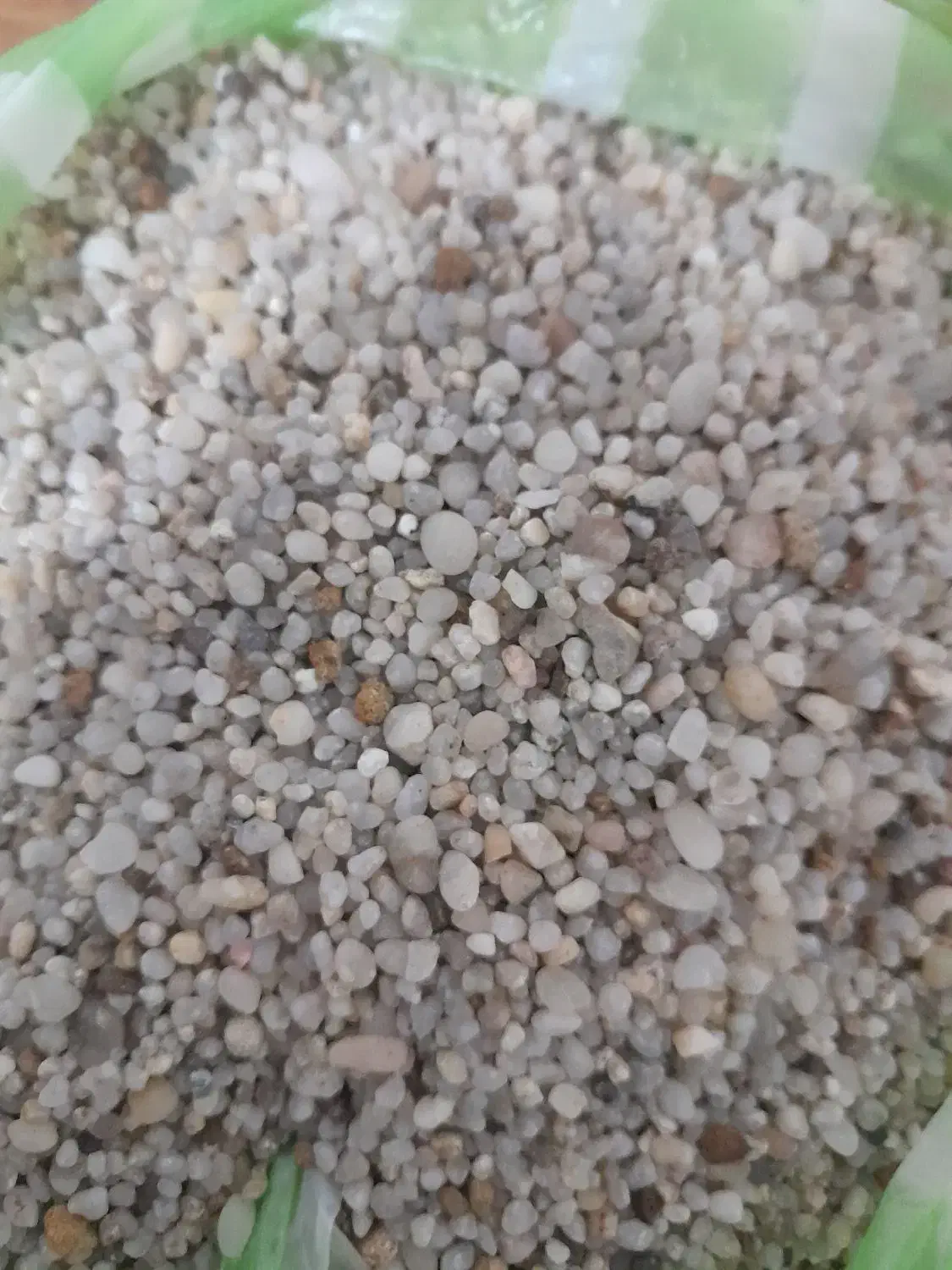 لوازم آکواریوم|ماهی|ارومیه, |دیوار