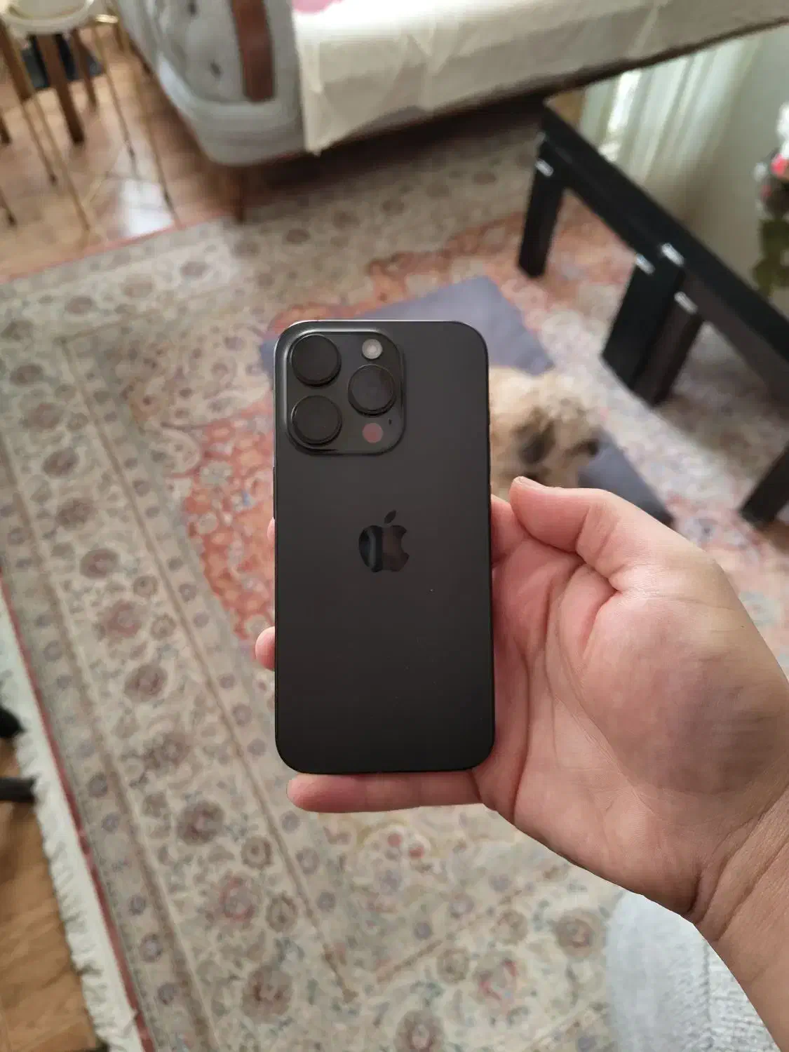 iphone 15 pro ZAA|موبایل|کرج, دهقان ویلا|دیوار