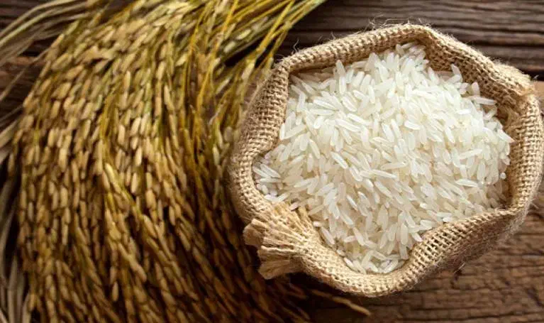برنج هاشمی گیلان|خوردنی و آشامیدنی|تهران, گرگان|دیوار