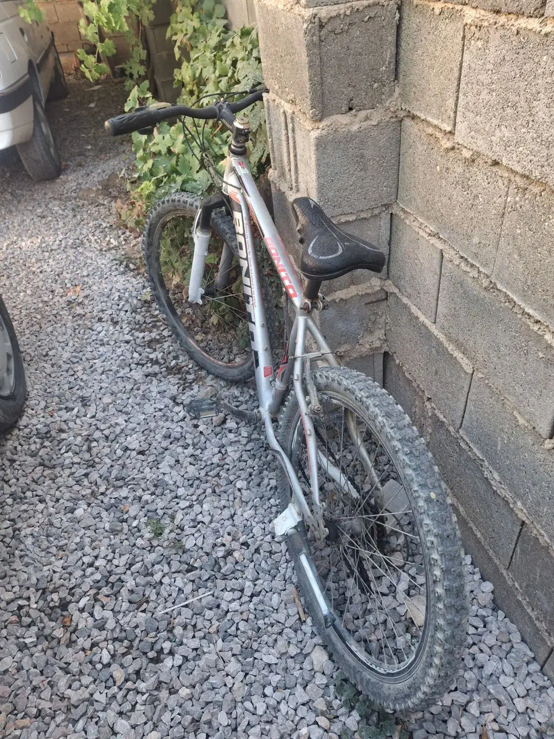 دوچرخه تمیزو مرتب|دوچرخه، اسکیت، اسکوتر|درودزن, |دیوار