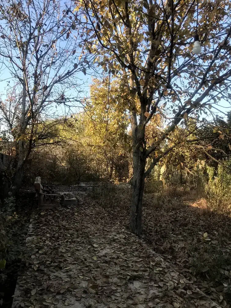 باغ قاسم اباد ۵۶۰ متر ۷۰ متر زیر بنا|فروش خانه و ویلا|هشتگرد, ایقربلاغ|دیوار