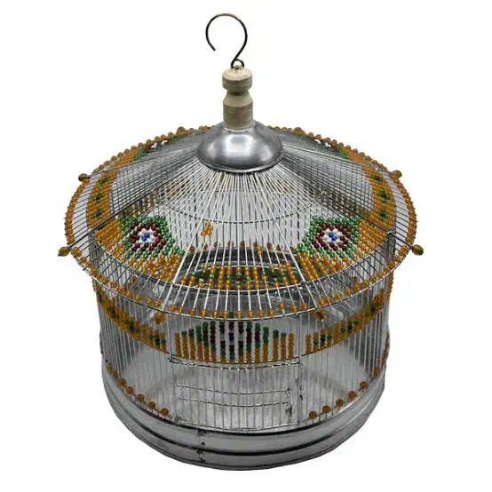 سهره خاکی نر|پرنده|شاهین‌شهر, نظامی|دیوار