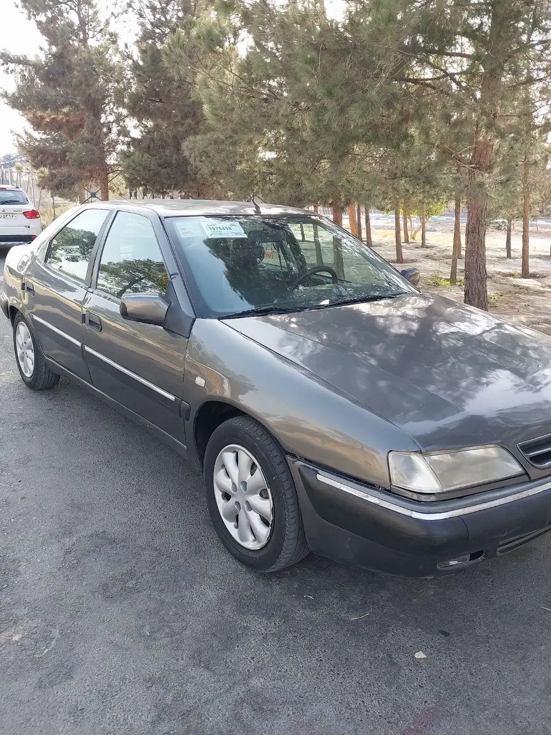 زانتیا|خودرو سواری و وانت|باغستان, |دیوار