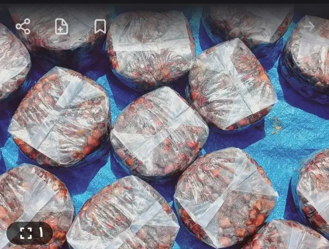 خرما زرد شیره دار|خوردنی و آشامیدنی|فاریاب, |دیوار