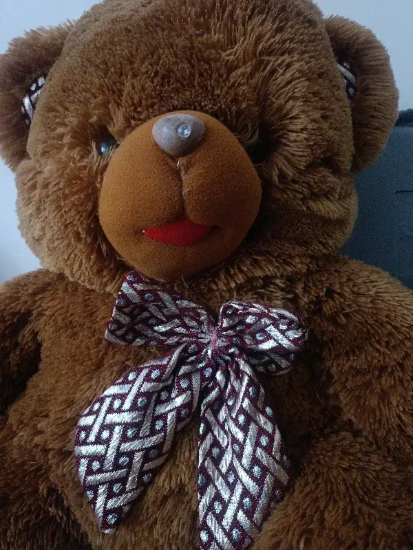 عروسک خرسی|اسباب‌بازی بچه|پرند, فاز ۶|دیوار