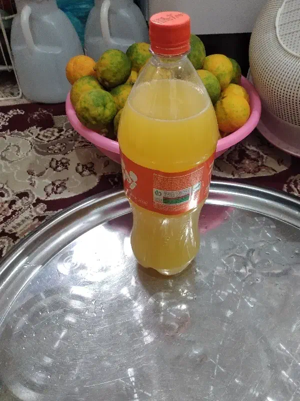 آب نارج تازه|خوردنی و آشامیدنی|ماسال, |دیوار