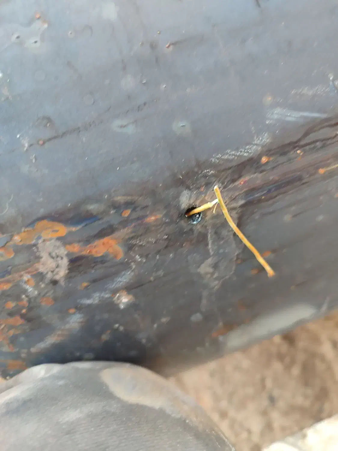 تعمیرات آبگرمکن شهر آونی جاده دهصحرا|آبگرمکن، پکیج، شوفاژ|لردگان, |دیوار