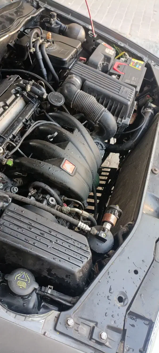 زانتیا Citroen|خودرو سواری و وانت|بندرعباس, |دیوار