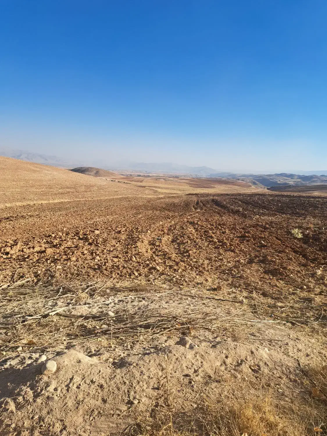 فروش زمین کشاورزی آبی|فروش دفتر صنعتی، کشاورزی، تجاری|سپیدان, |دیوار