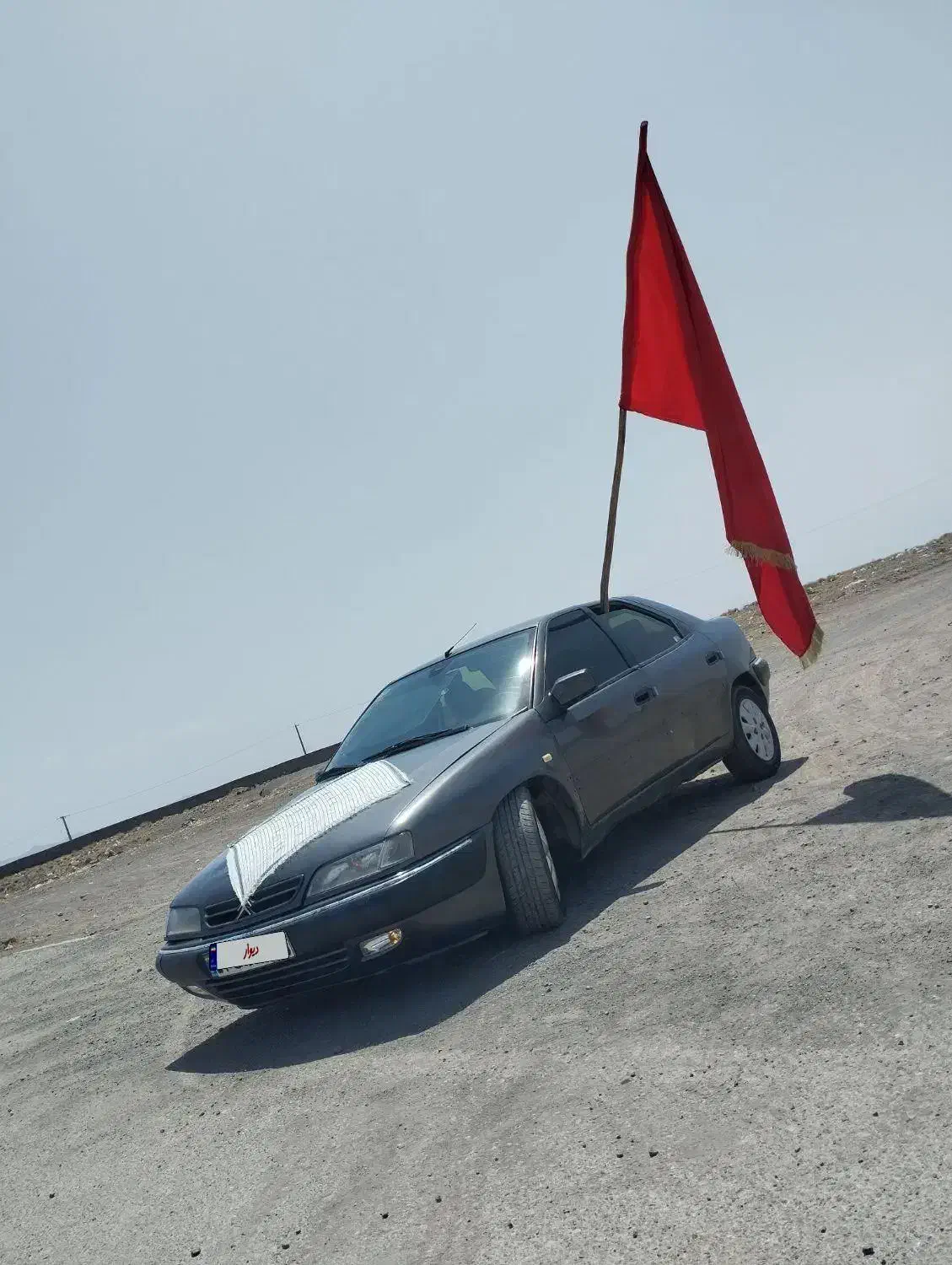 زانتیا مدل 82 دلفینی|خودرو سواری و وانت|سیرجان, |دیوار