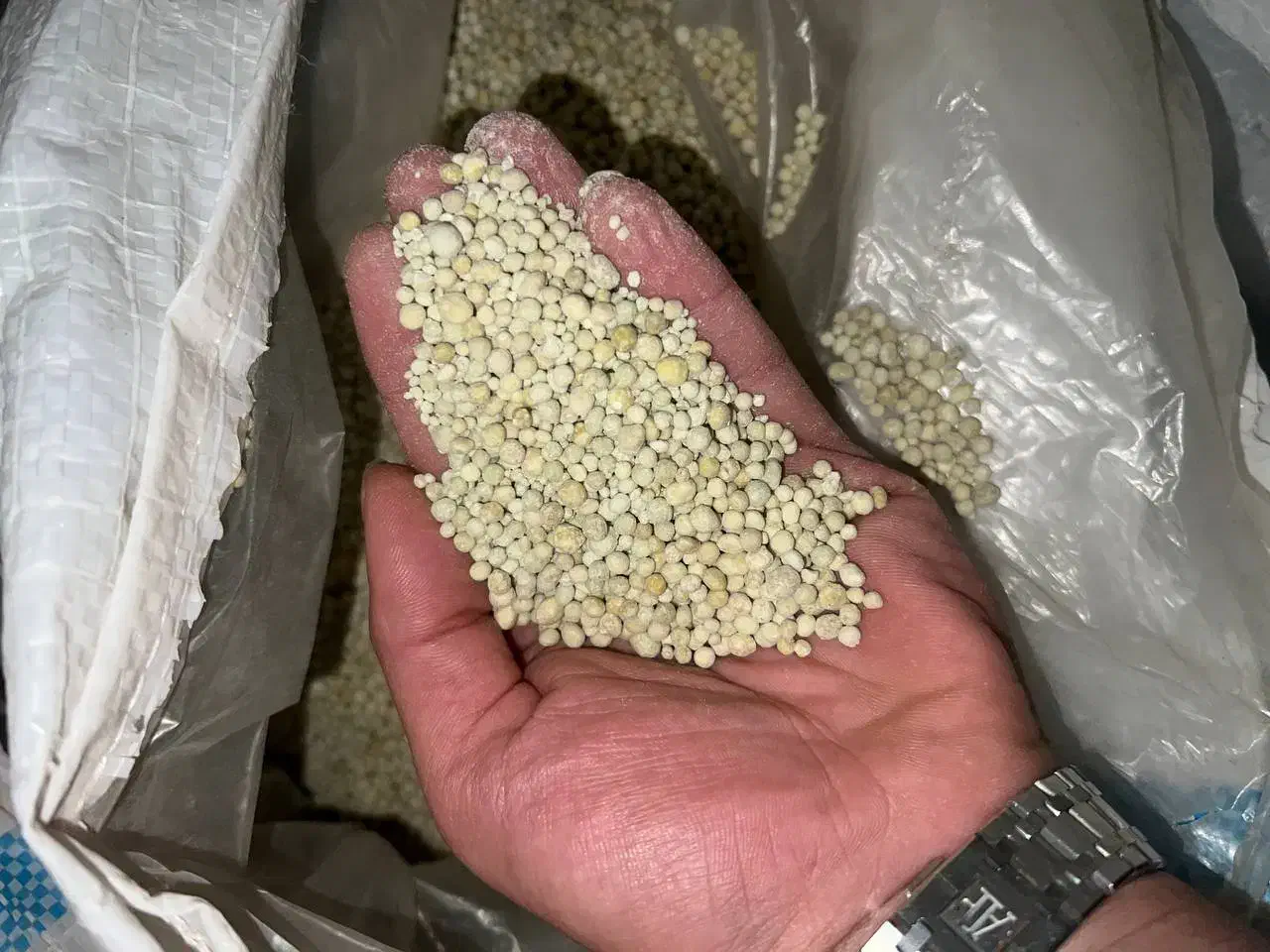 کود رازی بندر قیمت توافقی|خدمات باغبانی و درختکاری|کرمانشاه, |دیوار