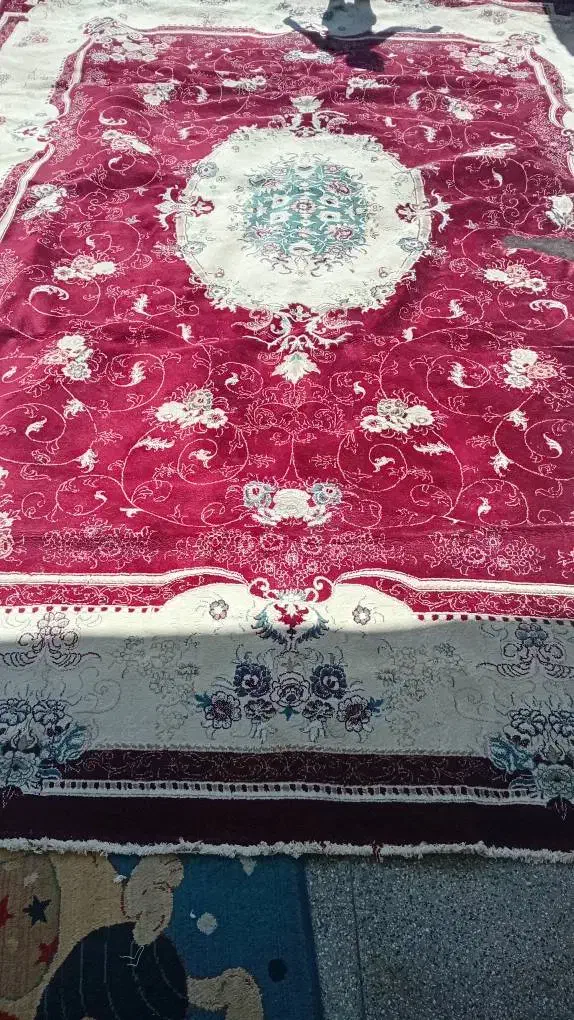 قالی ۱۲ متری|فرش|فسا, |دیوار