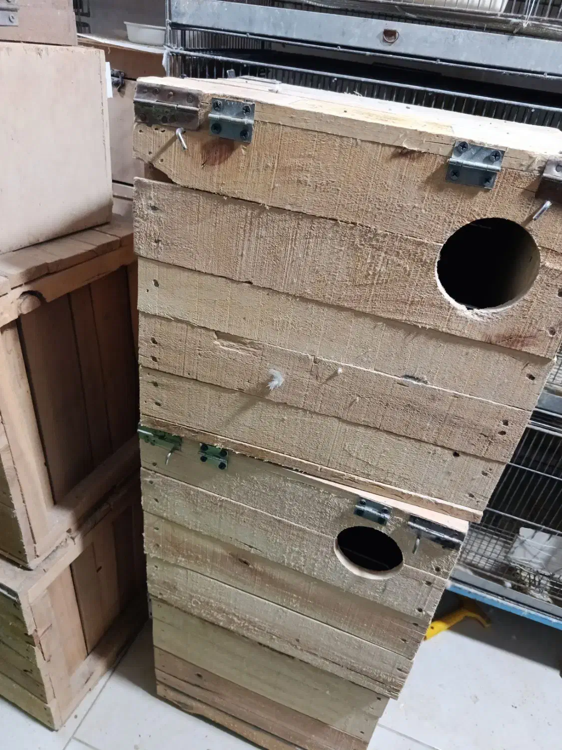 لونه لانه چوبی طوطی|لوازم جانبی حیوانات|ملارد, |دیوار