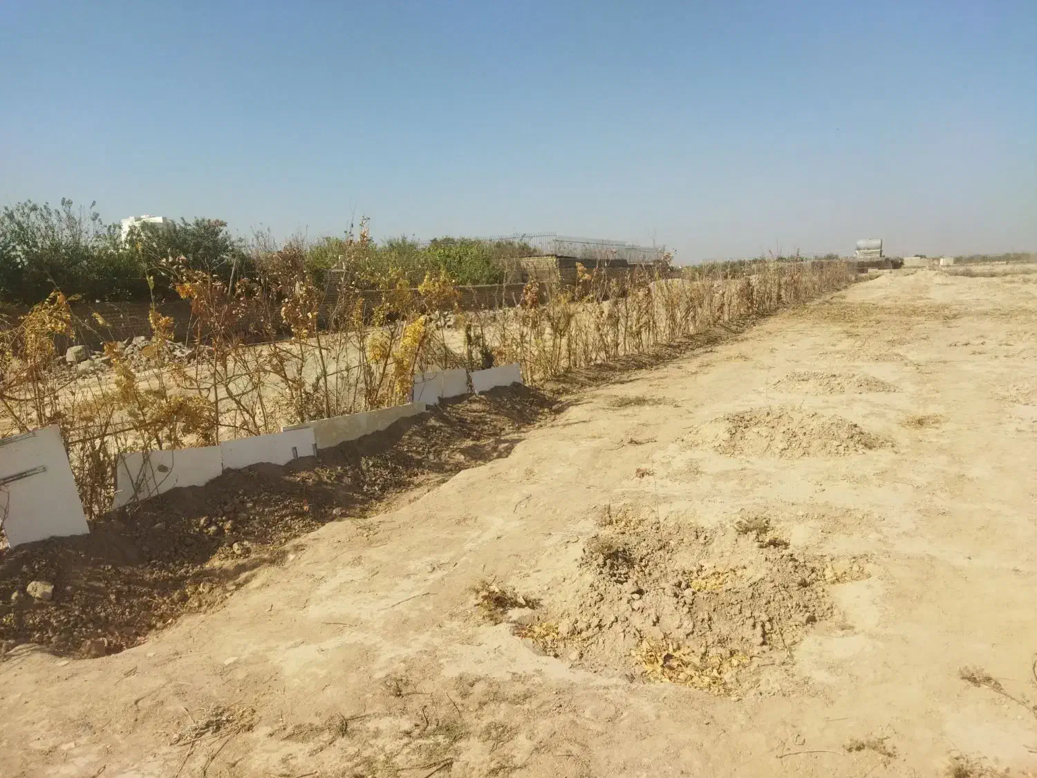 زمین زراعی|فروش دفتر صنعتی، کشاورزی، تجاری|رباطکریم, رباطکریم|دیوار