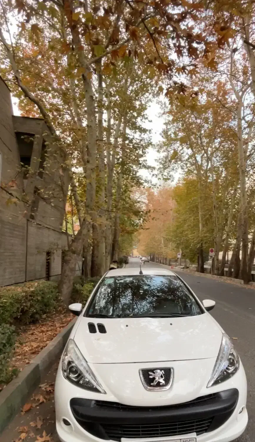 فروش ماشین207|خودرو کلاسیک|گنبد کاووس, |دیوار