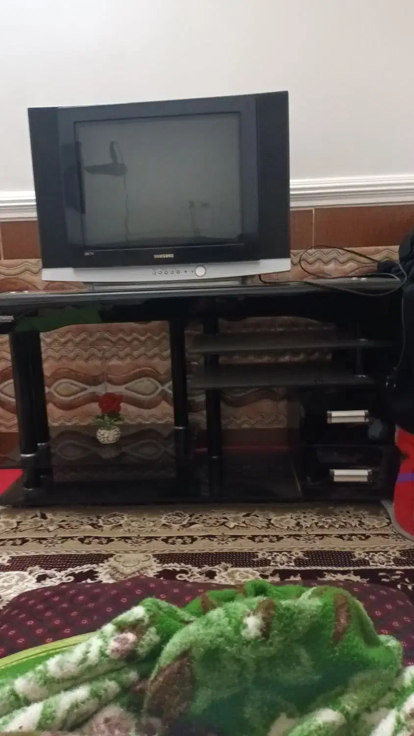 تلوزیون|تلویزیون و پروژکتور|مزرعه کتول, |دیوار